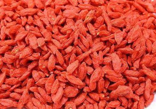 枸杞子可以和什么一起吃（枸杞子和什么一起吃最好）