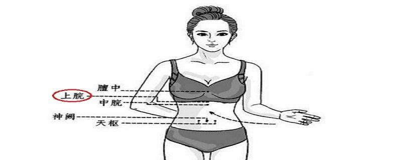 上脘的准确位置图视频（上脘准确位置图图解）