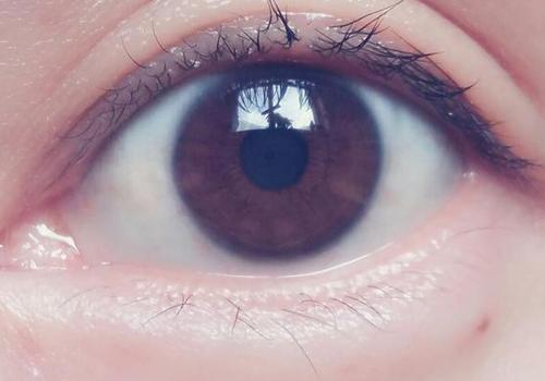 一天玩手机多久合适 15岁一天玩手机多久合适