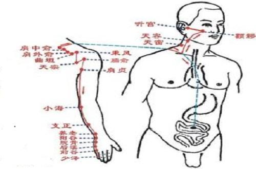 小肠经作用功效 小肠经络的功效和作用