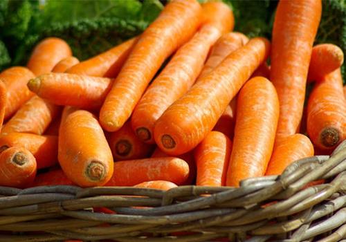 孩子总是感冒吃什么食物好（小孩生病感冒吃什么食物比较好）