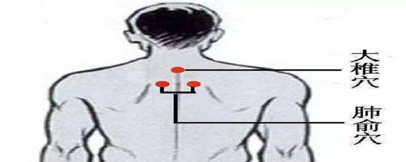 按摩肺俞的作用(肺俞的按摩手法)