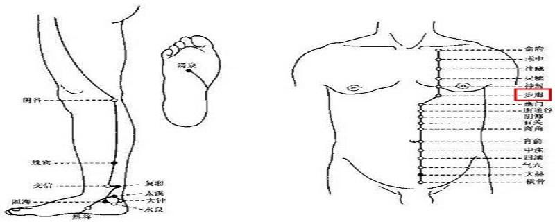 步廊痛是什么原因 步廊的准确位置
