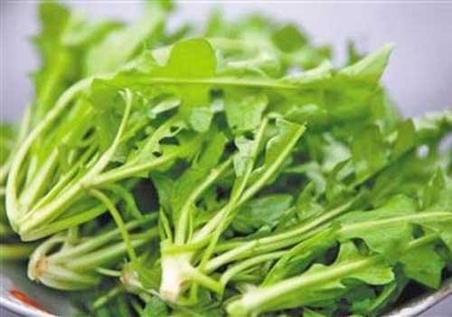 荠菜放冰箱可以吗 怎么放冷藏室?怎么放冷冻室?