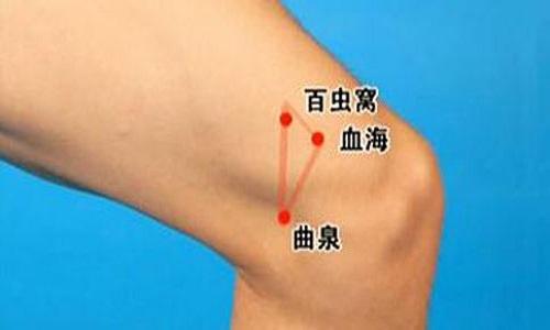 百虫窝准确位置图和作用(百虫窝的定位和主治)