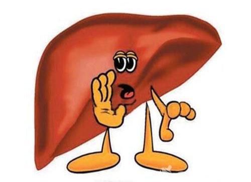 脂肪肝吃什么(脂肪肝吃什么药能降脂肪肝)