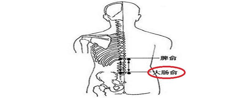 大肠俞怎么找最简单(找大肠俞的最简单的方法)