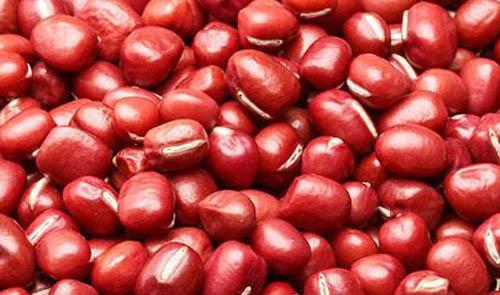 祛湿吃什么好（夏天祛湿吃什么好）