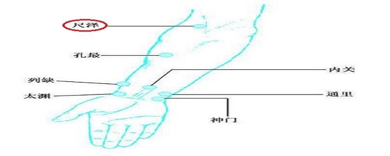 尺泽的针刺方法（尺泽针刺方法图）