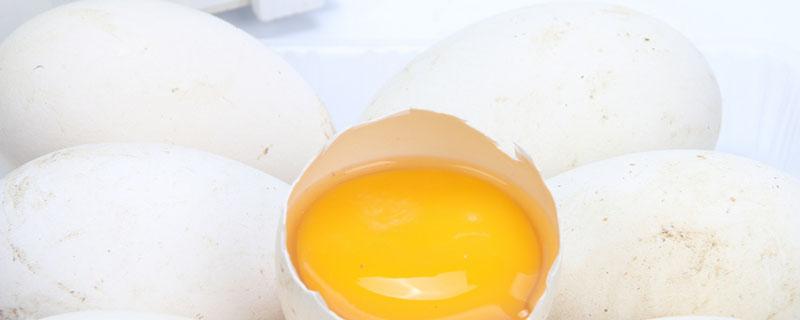 鹅蛋安胎吗 孕妇吃鹅蛋有什么好处