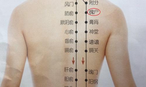 魄户的准确位置图片（魄户的定位）