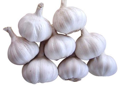 大蒜煮水能治感冒吗 大蒜煮水可以治感冒吗