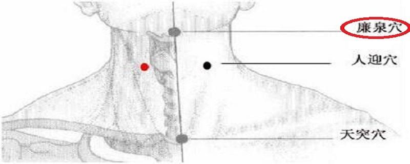 廉泉的准确位置图视频（廉泉的准确位置图和作用及视频）