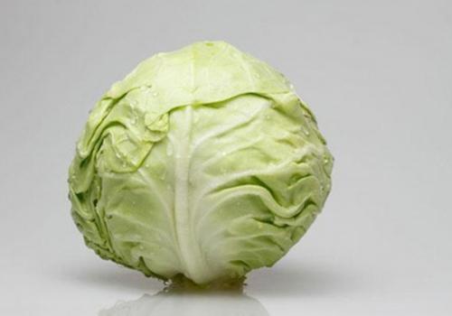 肾不好吃什么补 肾不好吃什么补肾最好