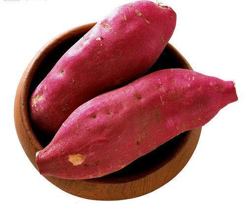 养胃护胃的食物有哪些 养胃护胃的食物有哪些?