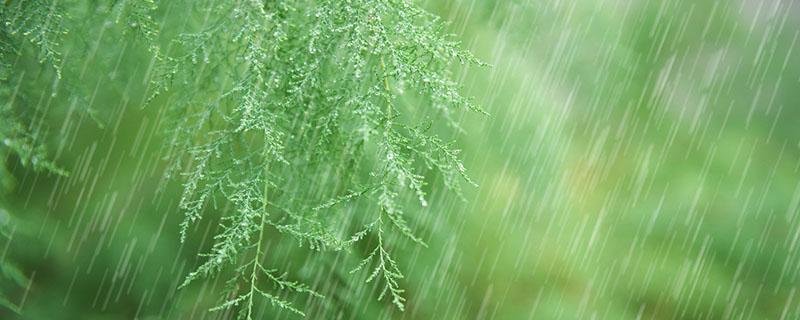 雨水节气是几九 雨水节气是几九天气?