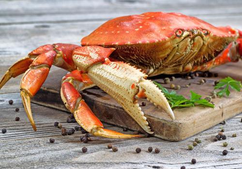 怀孕四个月可以吃螃蟹吗 怀孕四个月可以吃螃蟹吗?可以吃几个