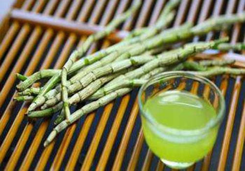 铁皮石斛与铁皮枫斗的区别 铁皮石斛与铁皮枫斗的区别图片