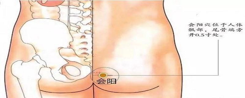 会阳位置图和作用（会阳位置图和作用是什么）