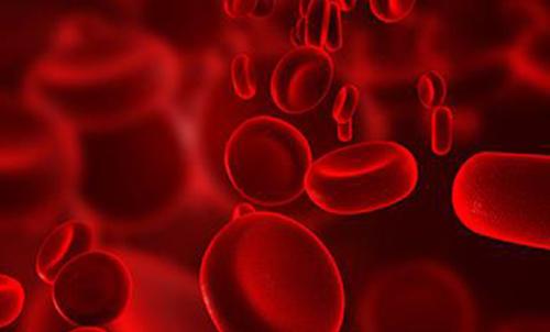 儿童急性白血病的早期症状 儿童急性白血病的早期症状和前兆