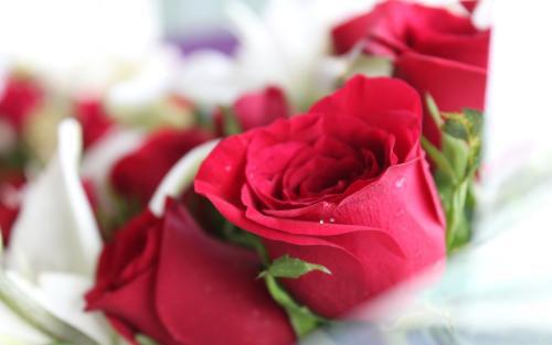 常生气的人吃什么好 常生气的人吃什么好消化