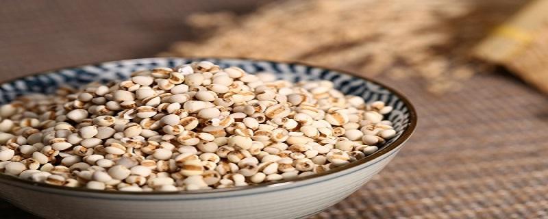 薏米怎么吃不伤脾胃 薏米伤脾胃吗