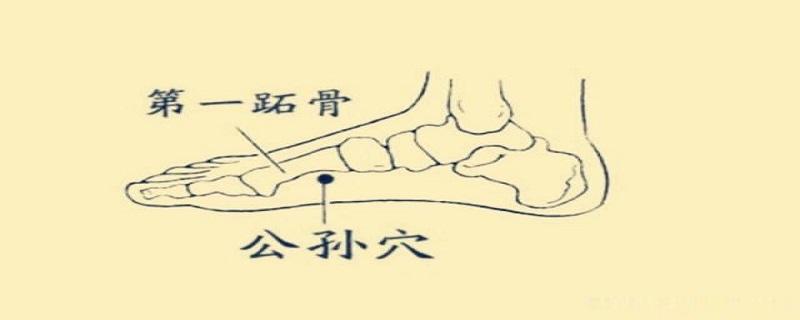 公孙在人体的哪个位置