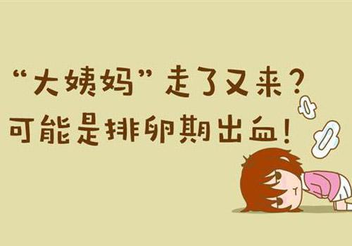 排卵期出血前一天同房会不会怀孕 排卵期出血前一天同房会怀孕吗几率大吗