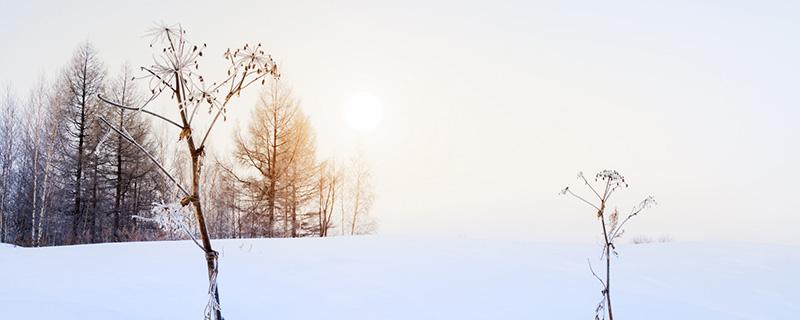 2019大雪节气是哪天 2019年大雪节气是哪天