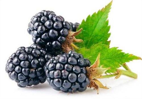 吃什么水果养肾好 吃什么水果对肾功能好