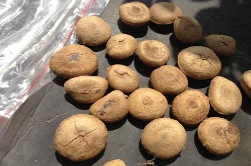 中药外用止痛药有哪些 中药外用止痛药有哪些牌子