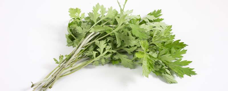 艾叶煮鸡蛋滚脸有什么好处 艾叶煮鸡蛋滚脸有什么好处,大姨妈少可以吃吗