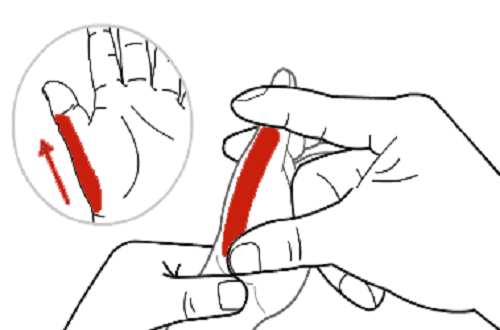 小儿胃经的准确位置图 小儿胃经的准确位置图和作用