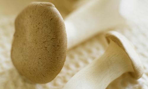 盆腔积液能喝蜂蜜水吗（盆腔积液能喝蜂蜜水吗女）