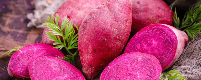 煮紫薯的绿水能喝吗 煮紫薯要多久才熟