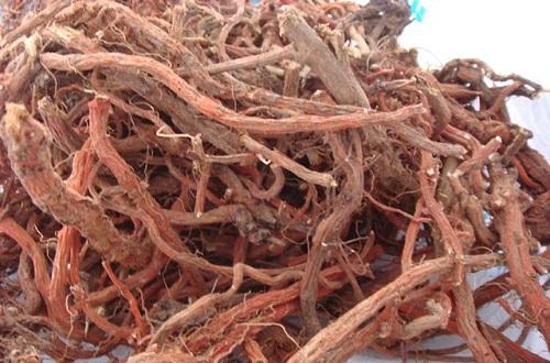 阳虚体质吃什么中成药（阳虚体质吃什么中成药调理最好）