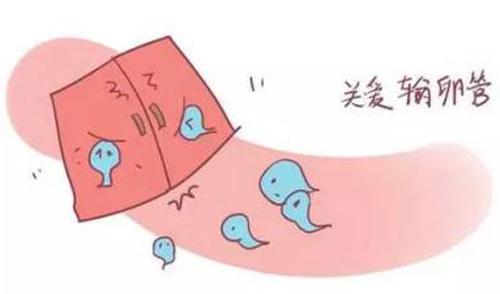 输卵管堵塞原因 输卵管堵塞原因分析和备孕建议