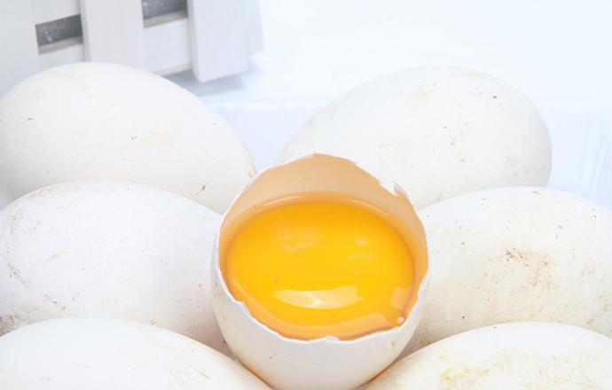 吃鹅蛋是不是可以预防胎儿黄疸 孕妇吃鹅蛋有什么好处
