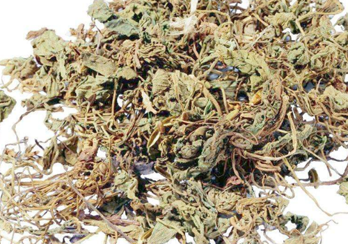 荨麻疹能用红霉素软膏吗 荨麻疹可用红霉素药膏吗