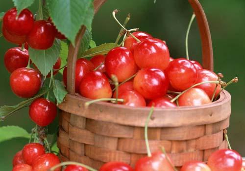 孕妇吃哪些水果可以补铁 孕妇吃哪种水果补铁