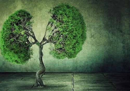 肺癌的早期症状有哪些(肺癌的早期症状有哪些症状)