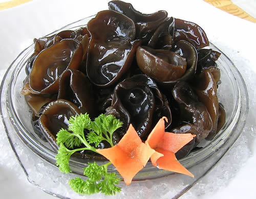 胆结石吃什么好（胆结石吃点什么东西吃最好）