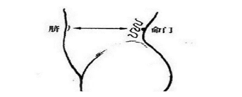 命门怎么找最简单（自己如何找命门的位置）