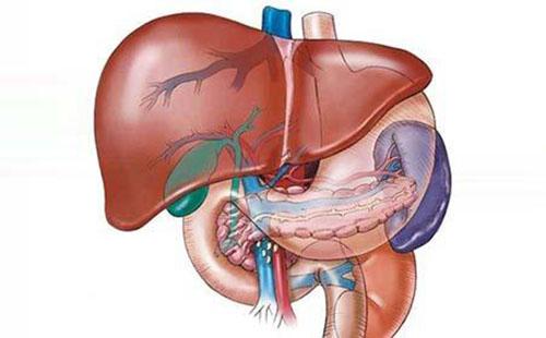 肝硬化饮食注意什么 肝硬化吃食要注意什么