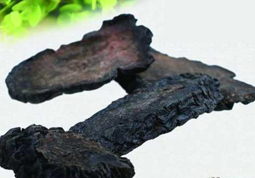 肉苁蓉孕妇能吃吗 肉苁蓉的功效与作用孕妇可以吃吗