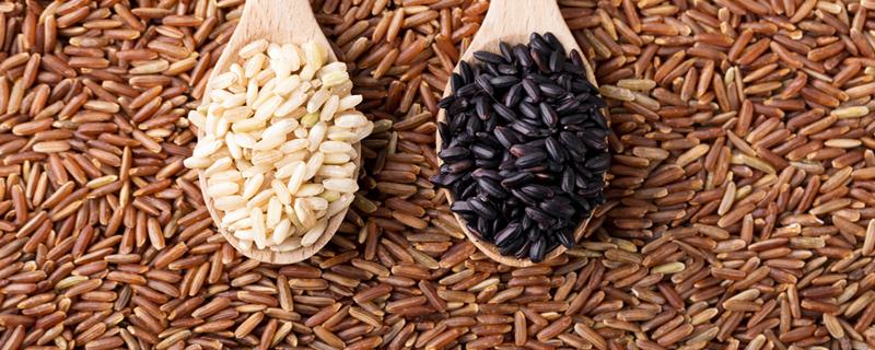 三色糙米可以天天吃吗（三色糙米能天天吃吗）