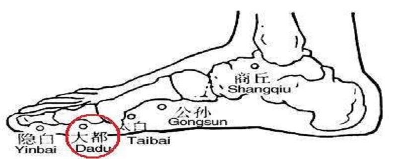 大都在什么位置图 大都准确位置图和作用