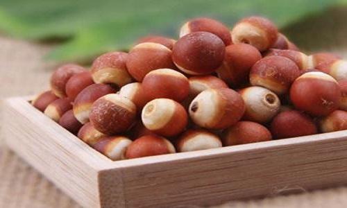 补脾益气的中药有哪些 补脾补气的中药有哪些