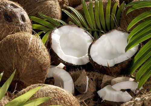 祛斑吃什么好（内调祛斑吃什么好）