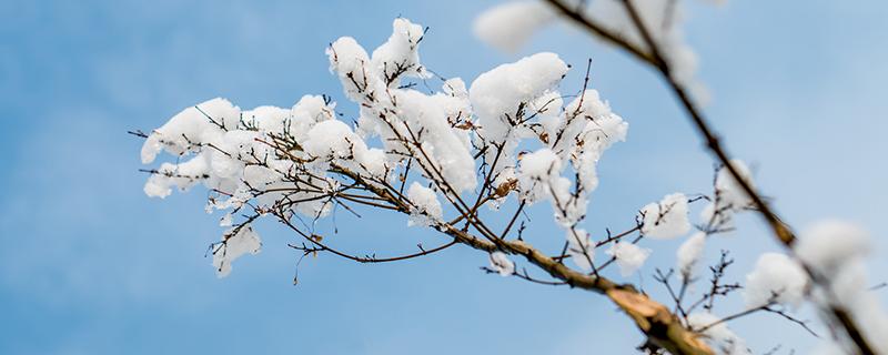 大雪节气是哪一天 大雪节气是哪一天?